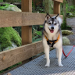 Meet your Posher, Paula